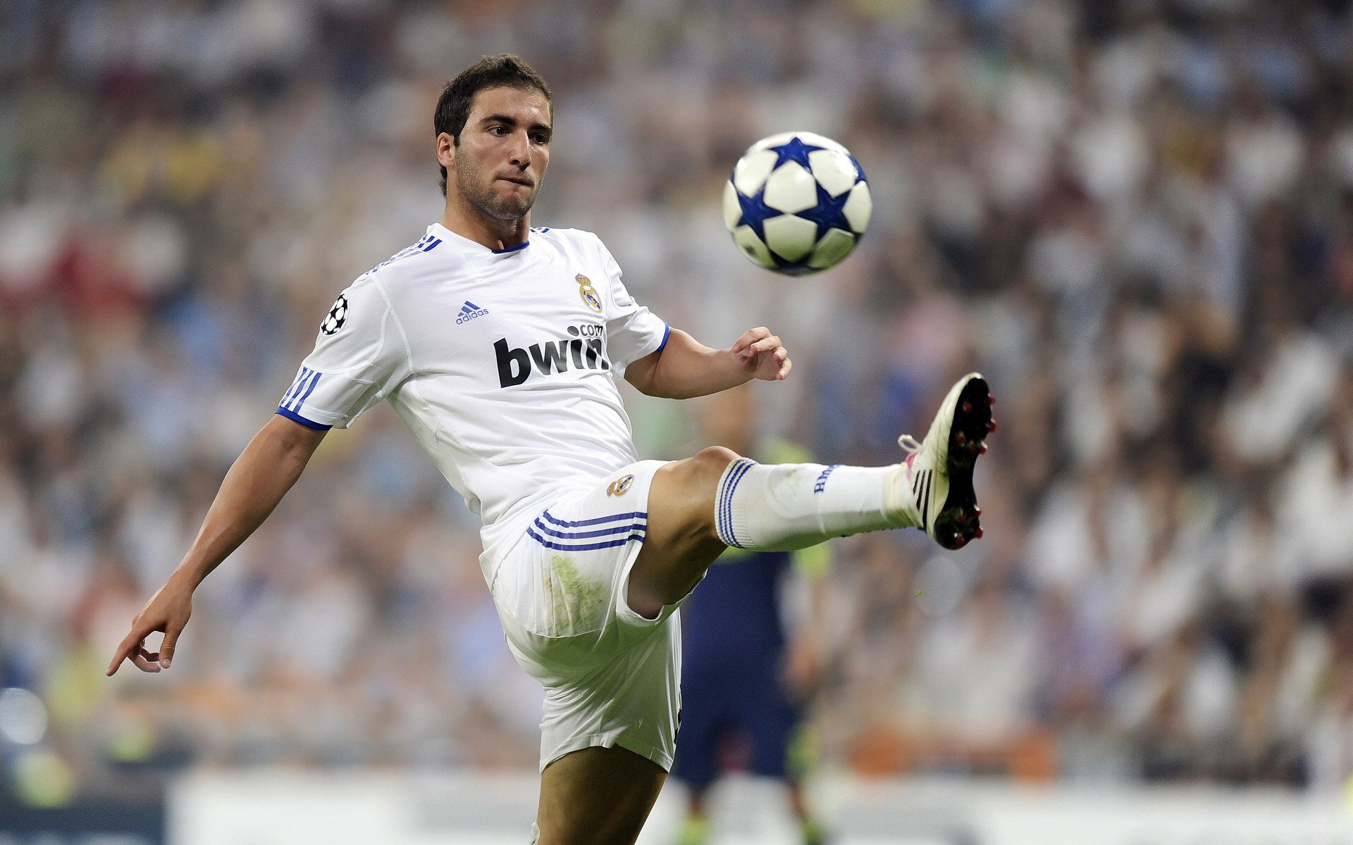 拜仁官宣签下英格兰中场新星，拜仁英格兰小将